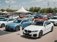 中国人保携手安庆市聚车汇汽车续保团购会