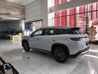 周末来看实车，被宋Ultra EV硬控了